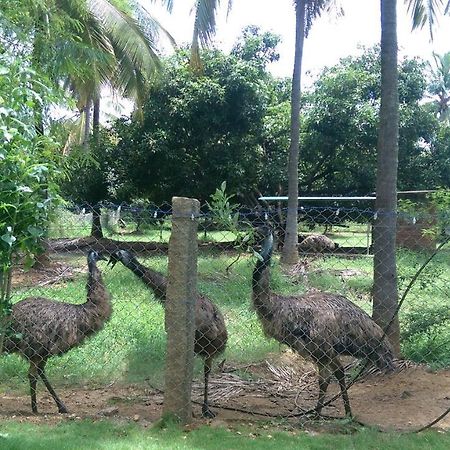 Mango Village Farm House Nelliyampathy ภายนอก รูปภาพ