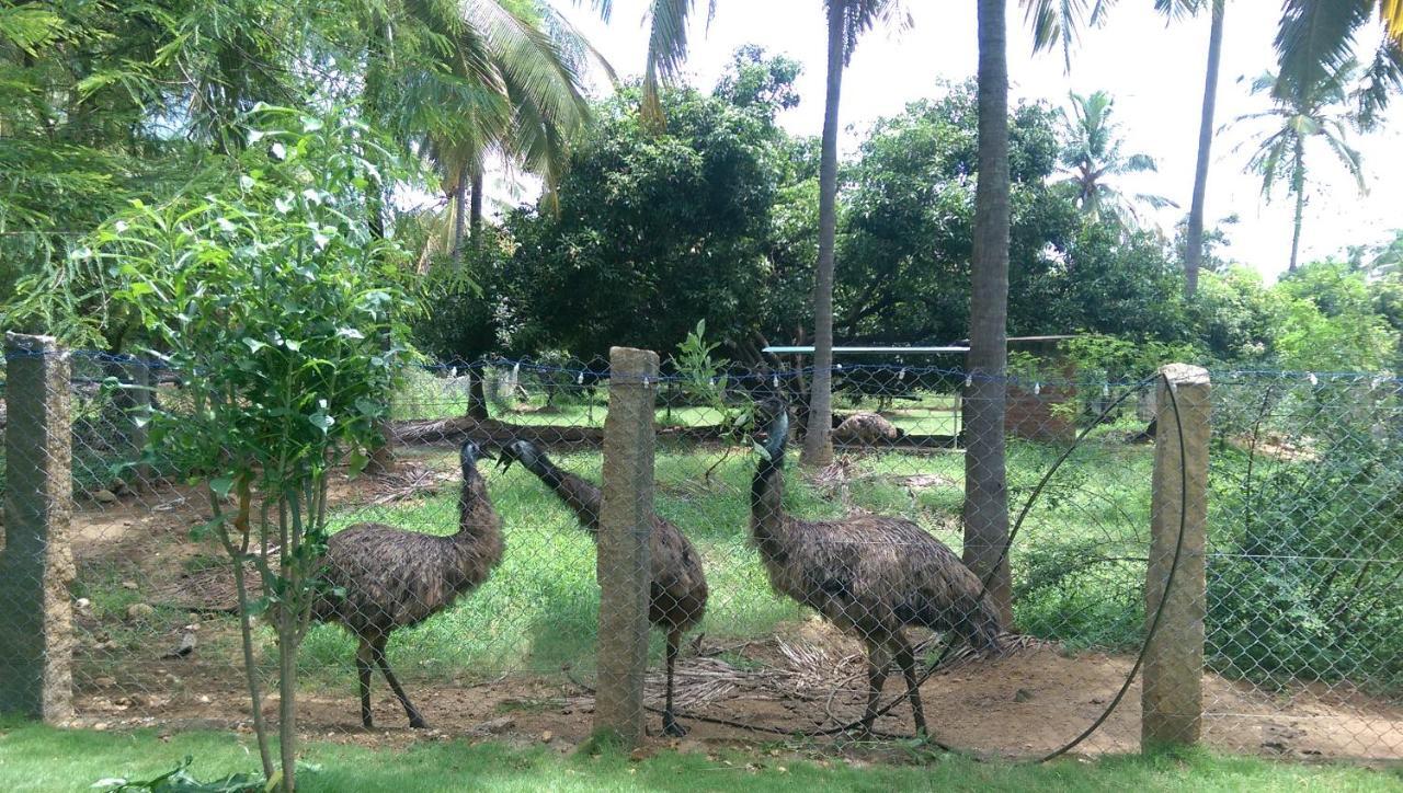 Mango Village Farm House Nelliyampathy ภายนอก รูปภาพ